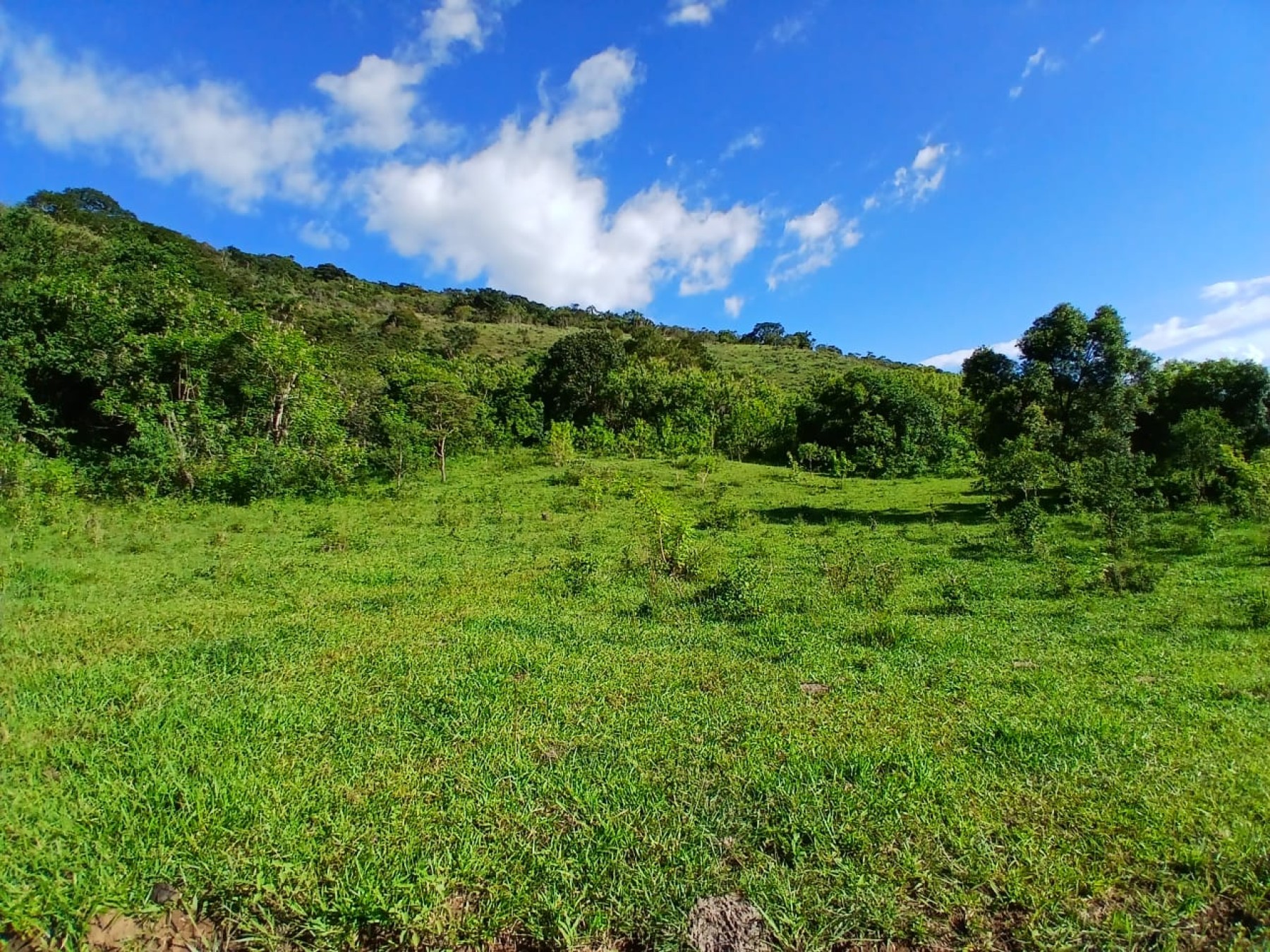 Oportunidade Rural Rara: Onde a Natureza Encontra a Produtividade