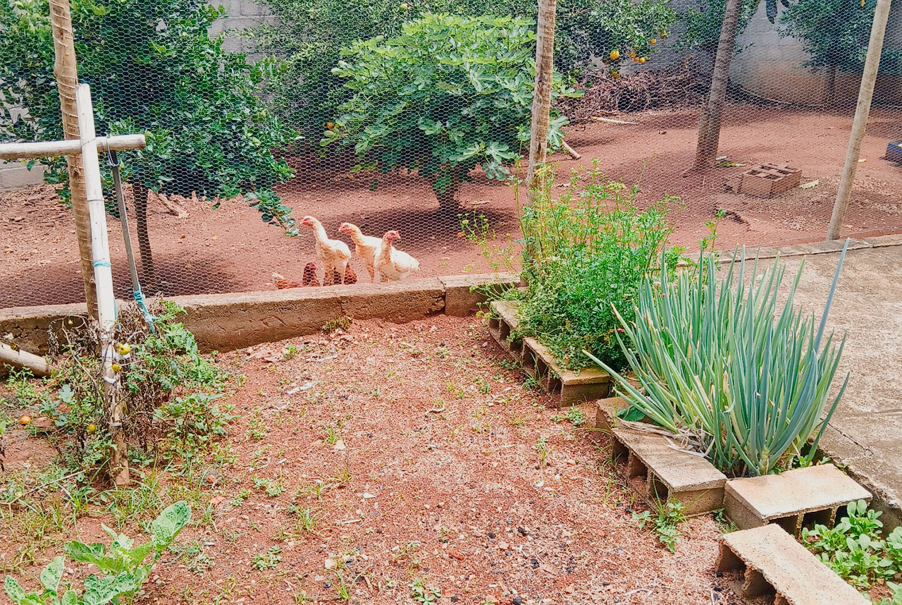 Foto 5