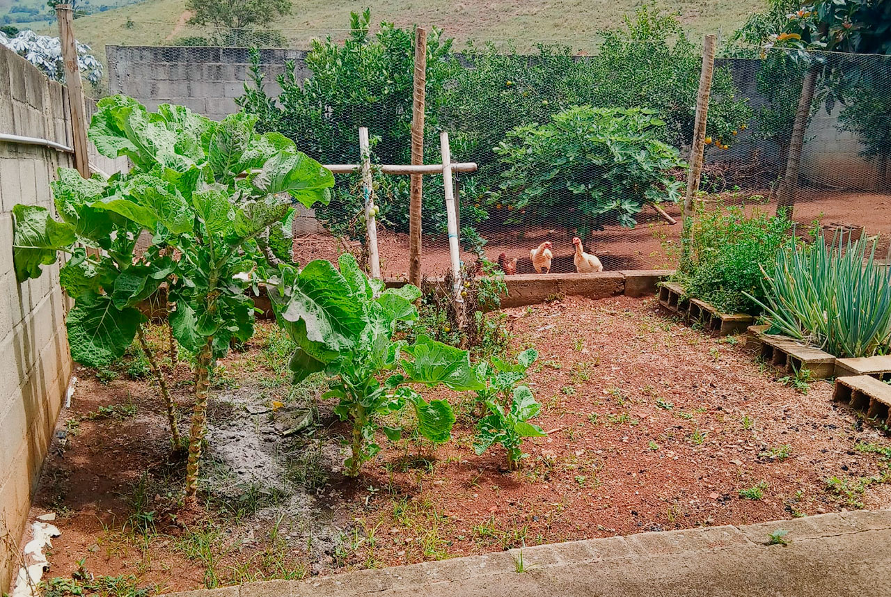 Foto 9