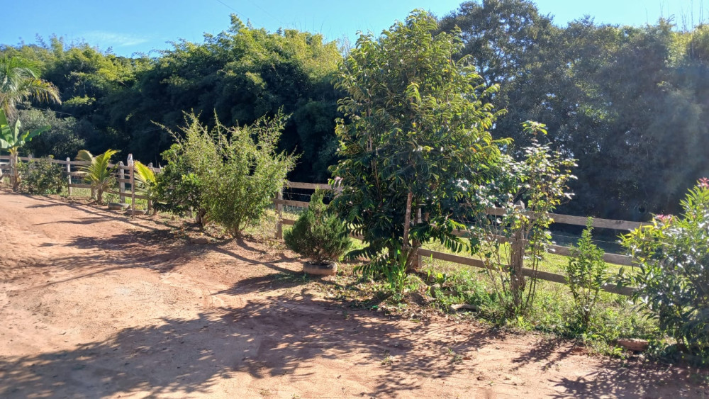 Foto 20